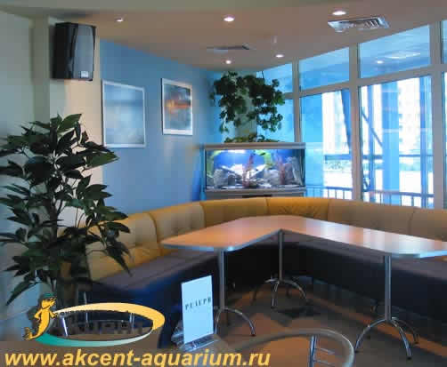 Акцент-аквариум,аквариум 240 литров угловой с гнутым передним стеклом